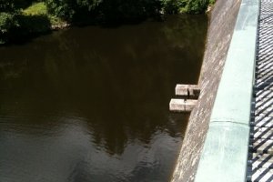 Blick auf die Pfreimd von der Staumauer T. 29.06.2015